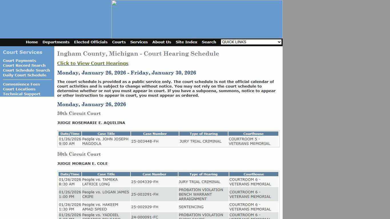 Ingham County Court Services